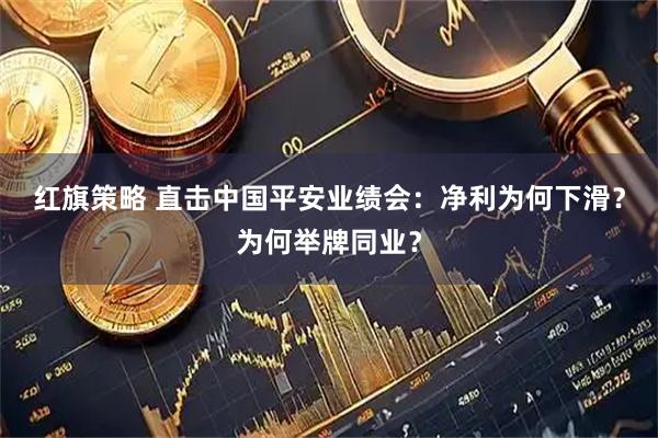 红旗策略 直击中国平安业绩会：净利为何下滑？为何举牌同业？