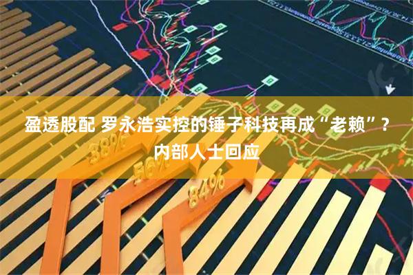 盈透股配 罗永浩实控的锤子科技再成“老赖”？内部人士回应