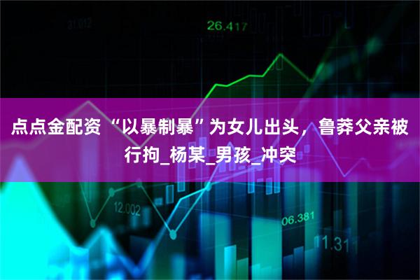 点点金配资 “以暴制暴”为女儿出头，鲁莽父亲被行拘_杨某_男孩_冲突