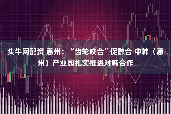 头牛网配资 惠州：“齿轮咬合”促融合 中韩（惠州）产业园扎实推进对韩合作